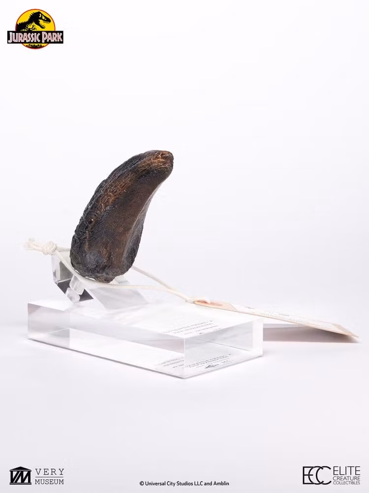 Jurassic Park 1/1 Replica Velociraptor Toenail Type A