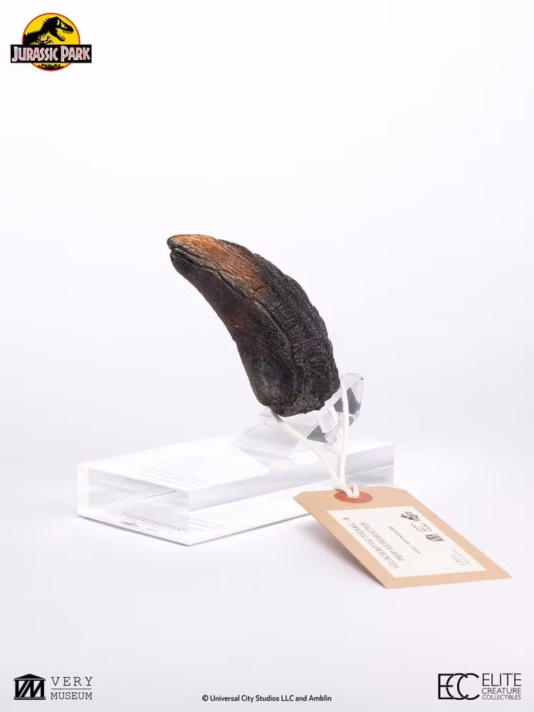 Jurassic Park 1/1 Replica Velociraptor Toenail Type A