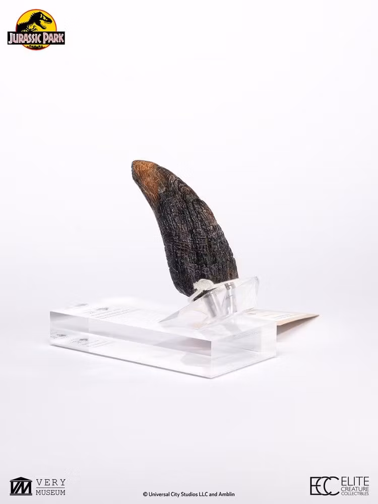 Jurassic Park 1/1 Replica Velociraptor Toenail Type A
