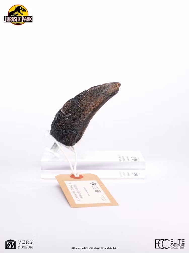 Jurassic Park 1/1 Replica Velociraptor Toenail Type A