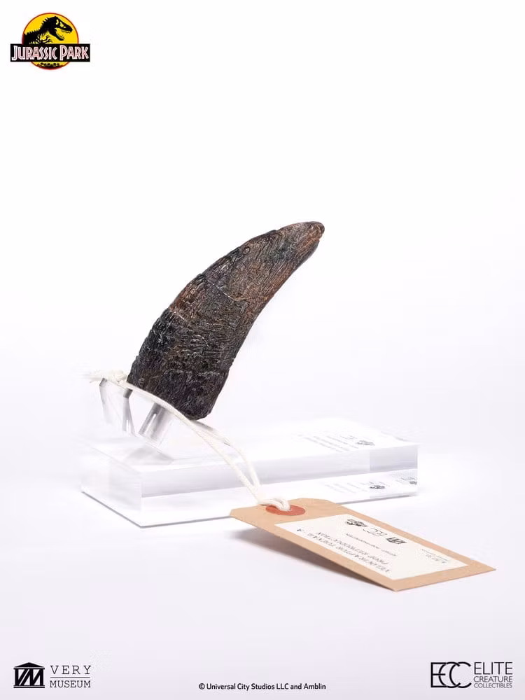 Jurassic Park 1/1 Replica Velociraptor Toenail Type A