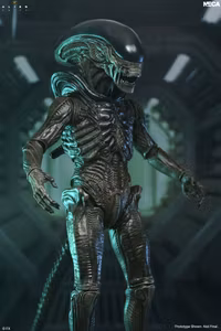 Alien: Earth Ultimate Xenomorph Action Figure