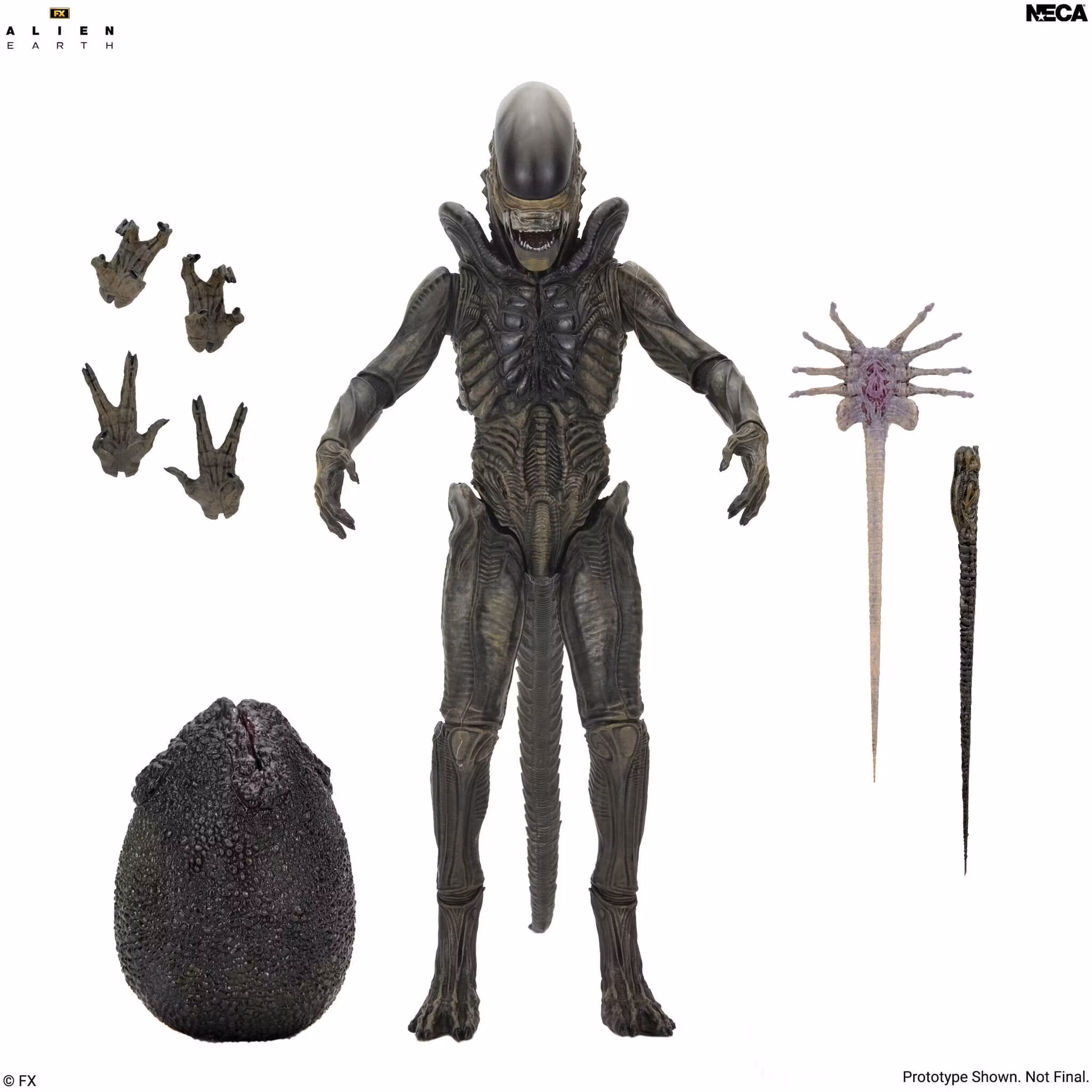 Alien: Earth Ultimate Xenomorph Action Figure