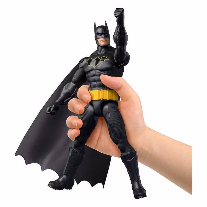 DC Universe Action Figure Batman