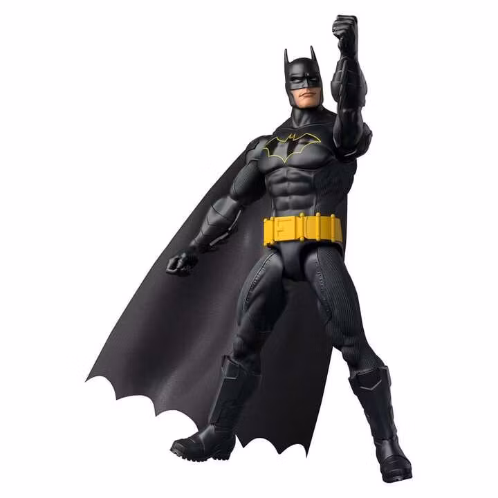 DC Universe Action Figure Batman