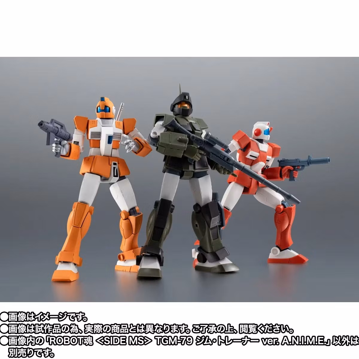 Mobile Suit Variations Robot Spirits TGM-79 GM Trainer (Ver. A.N.I.M.E.) Exclusive Action Figure