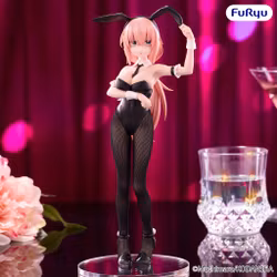 There Is Also a Hole in the Student Organization! BiCute Bunnies Komaro Michinoku Figure