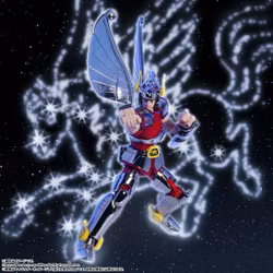 Saint Seiya Saint Cloth Series Pegasus Cloth (First Bronze Cloth -Cloth Box Limited Edition-) Action Figure