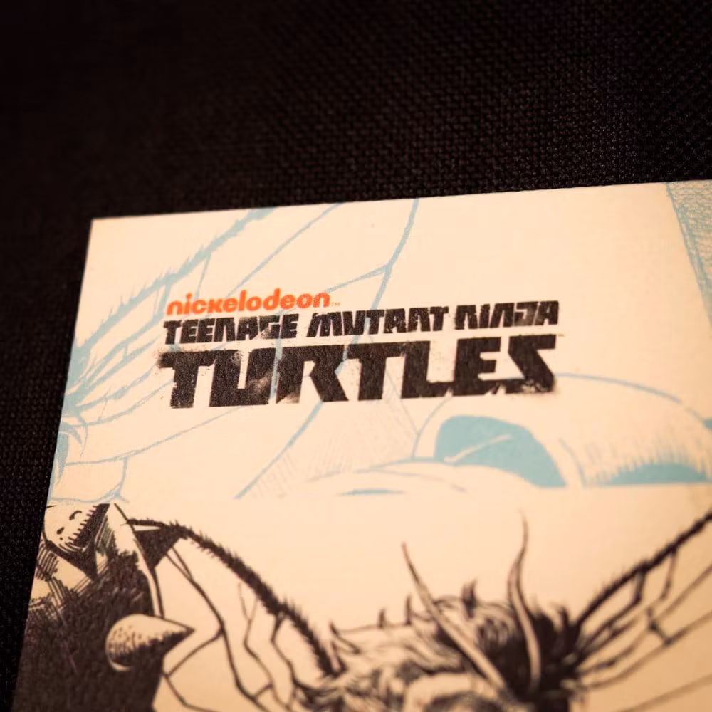Teenage Mutant Ninja Turtles Art Print Comic Limited Edition
