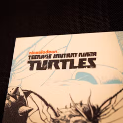 Teenage Mutant Ninja Turtles Art Print Comic Limited Edition