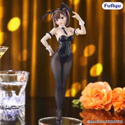 There is Also a Hole in the Student Organization! BiCute Bunnies Hisako Kotobuki Figure