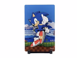 Sonic The Hedgehog FiGGYZ Magnet Collectible OGz Sonic 35th Anniversary