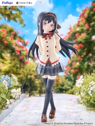Puella Magi Madoka Magica the Movie: Walpurgisnacht: Rising Tenitol Tall Homura Akemi Figure
