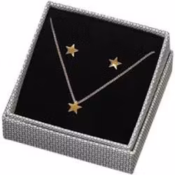Edblad Örhänge Sirius studs guld