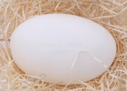 Terra midis tvål  "Gåsägg" Mjöl/Lait