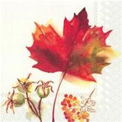 Servett Magic Autumn IHR