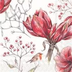 Servett från IHR "Winter Amaryllis"