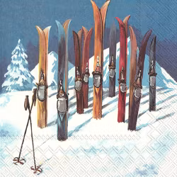 IHR servett retro skidor