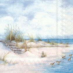Ihr servett strand