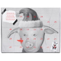 Haupt Lakrits Adventskalender