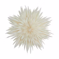 Watt & Veke Maja vit 50 cm