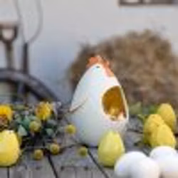 CULT Gulle-fia gömma