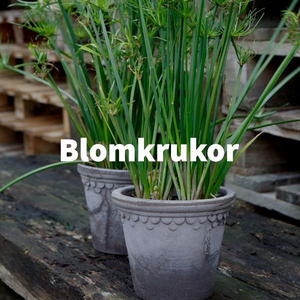 Blomkrukor - Swift Demobutik