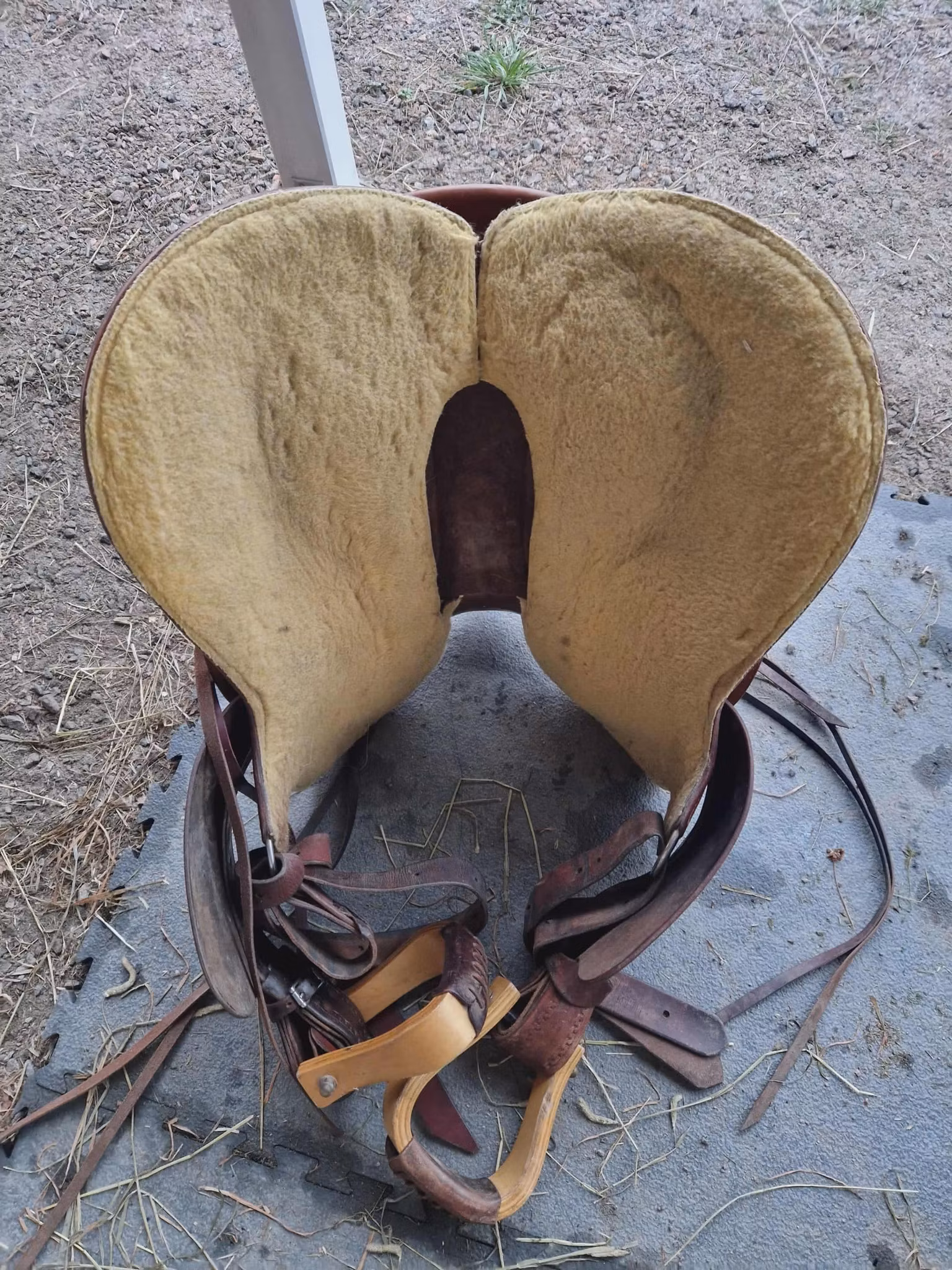 California brand westernsadel XFQ 16 tum