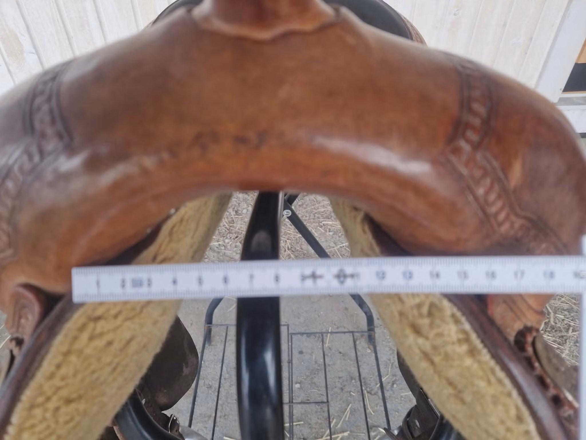 Triple w  "small butterfly reiner"  QH 16 tum