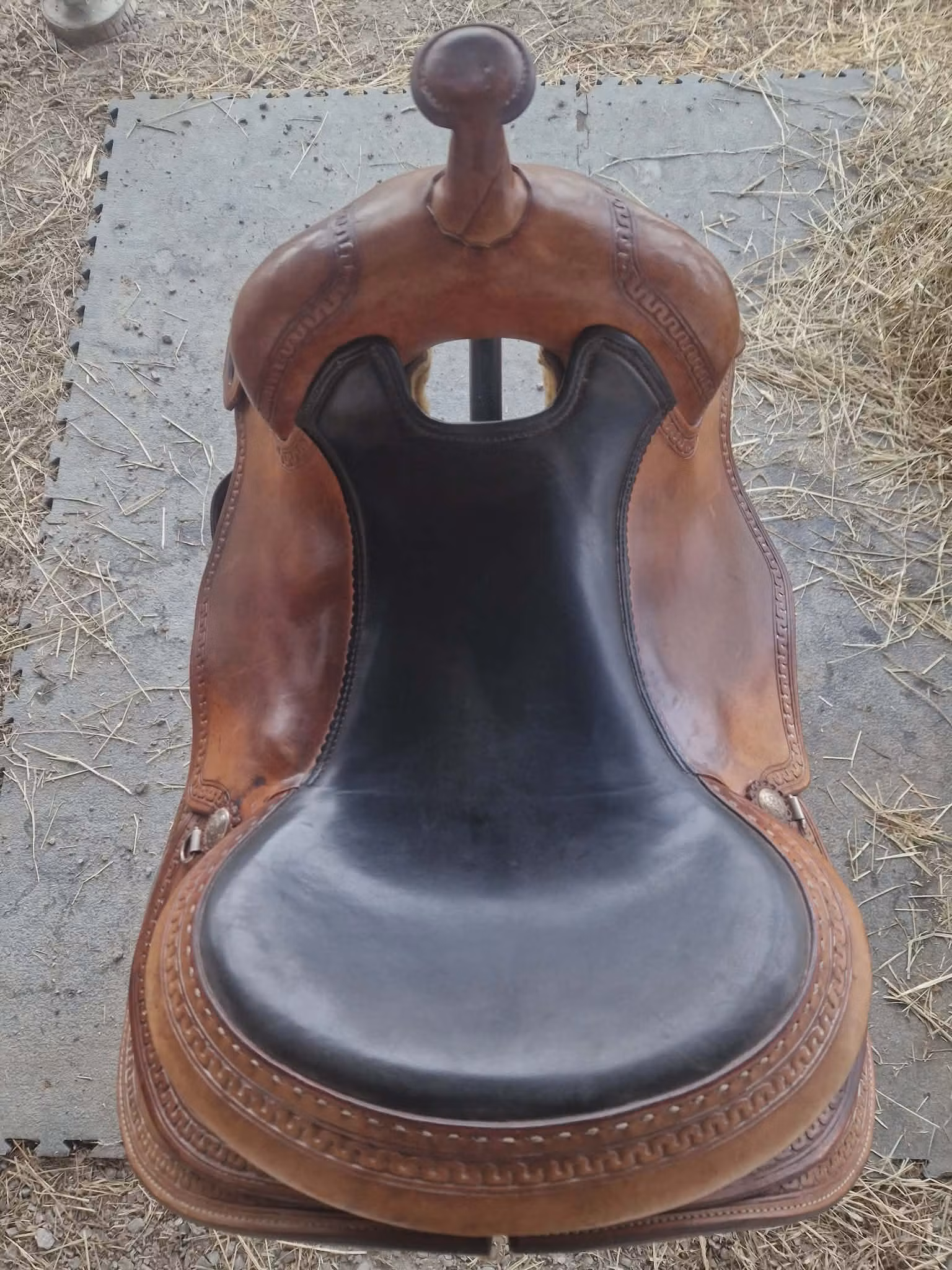 Triple w  "small butterfly reiner"  QH 16 tum