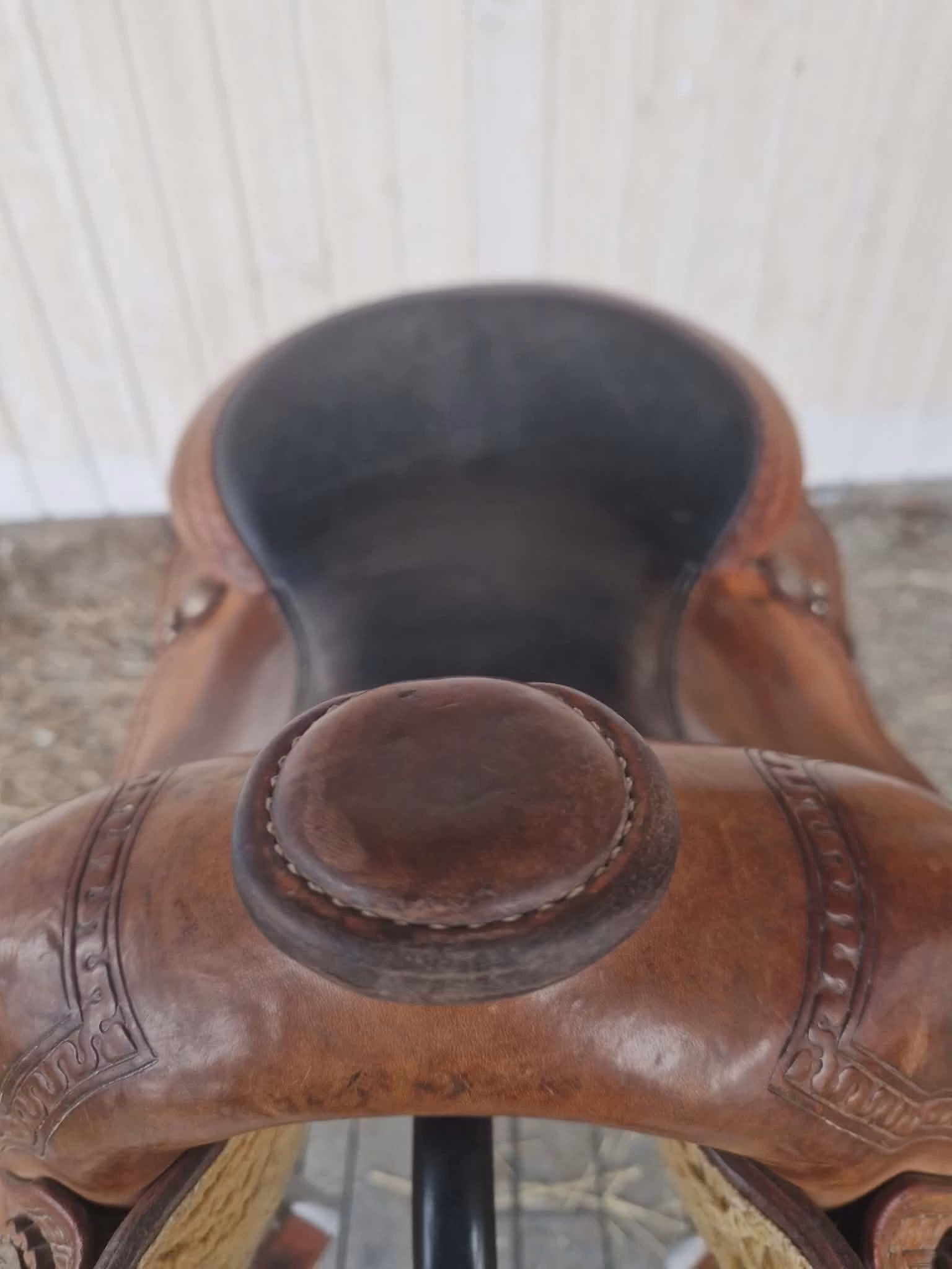 Triple w  "small butterfly reiner"  QH 16 tum