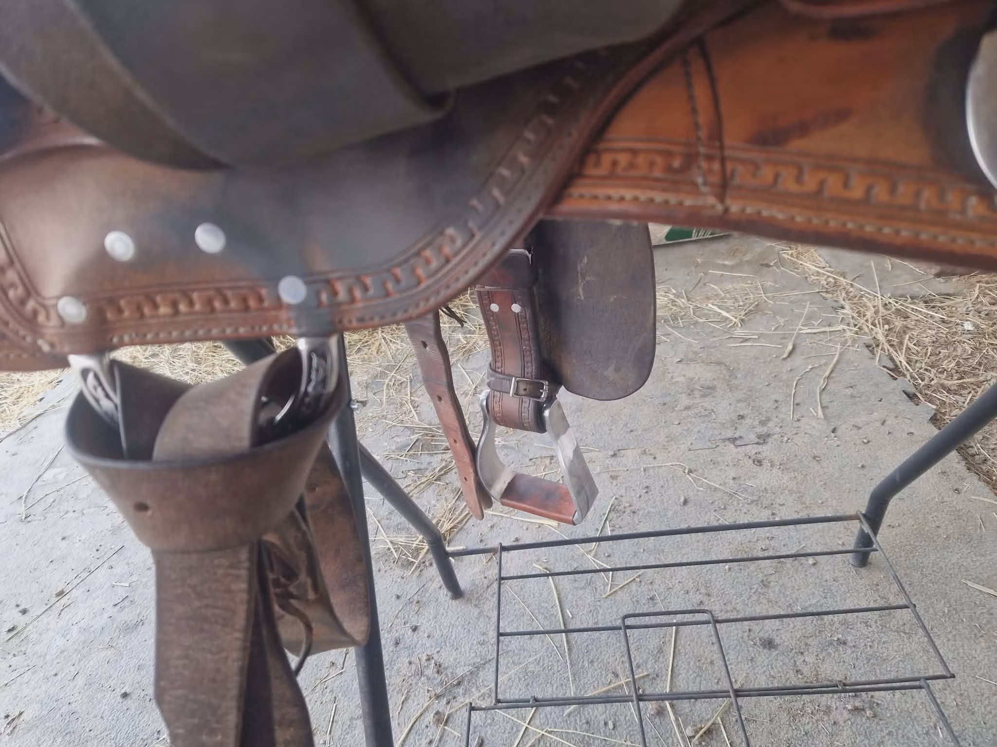 Triple w  "small butterfly reiner"  QH 16 tum