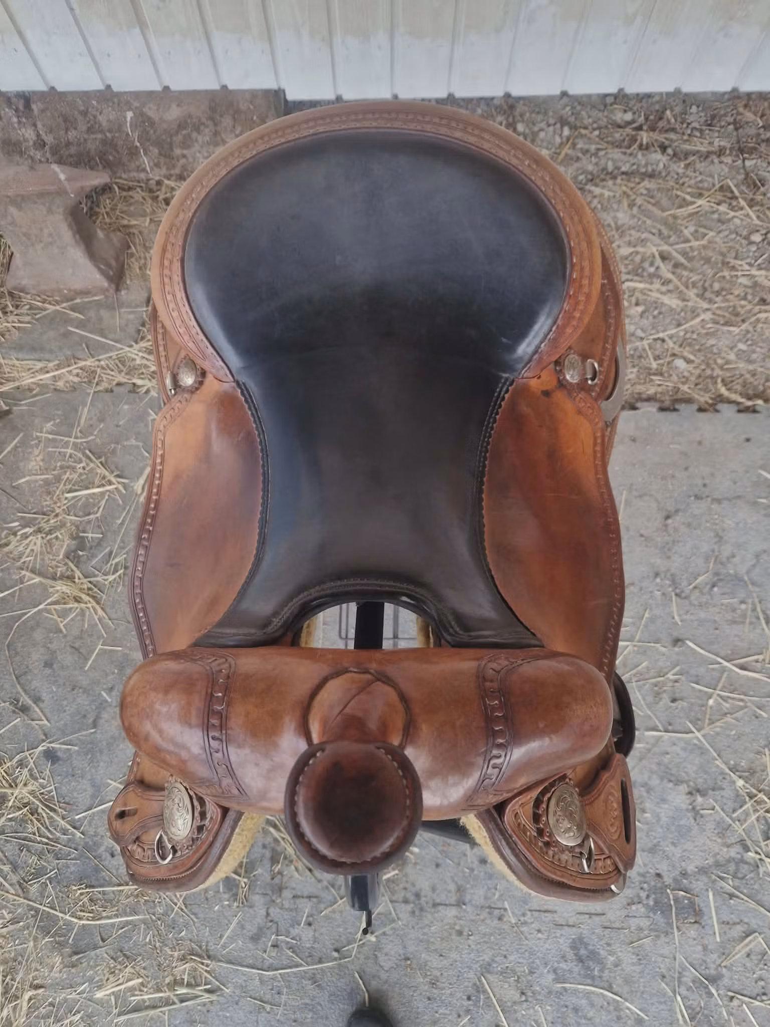 Triple w  "small butterfly reiner"  QH 16 tum