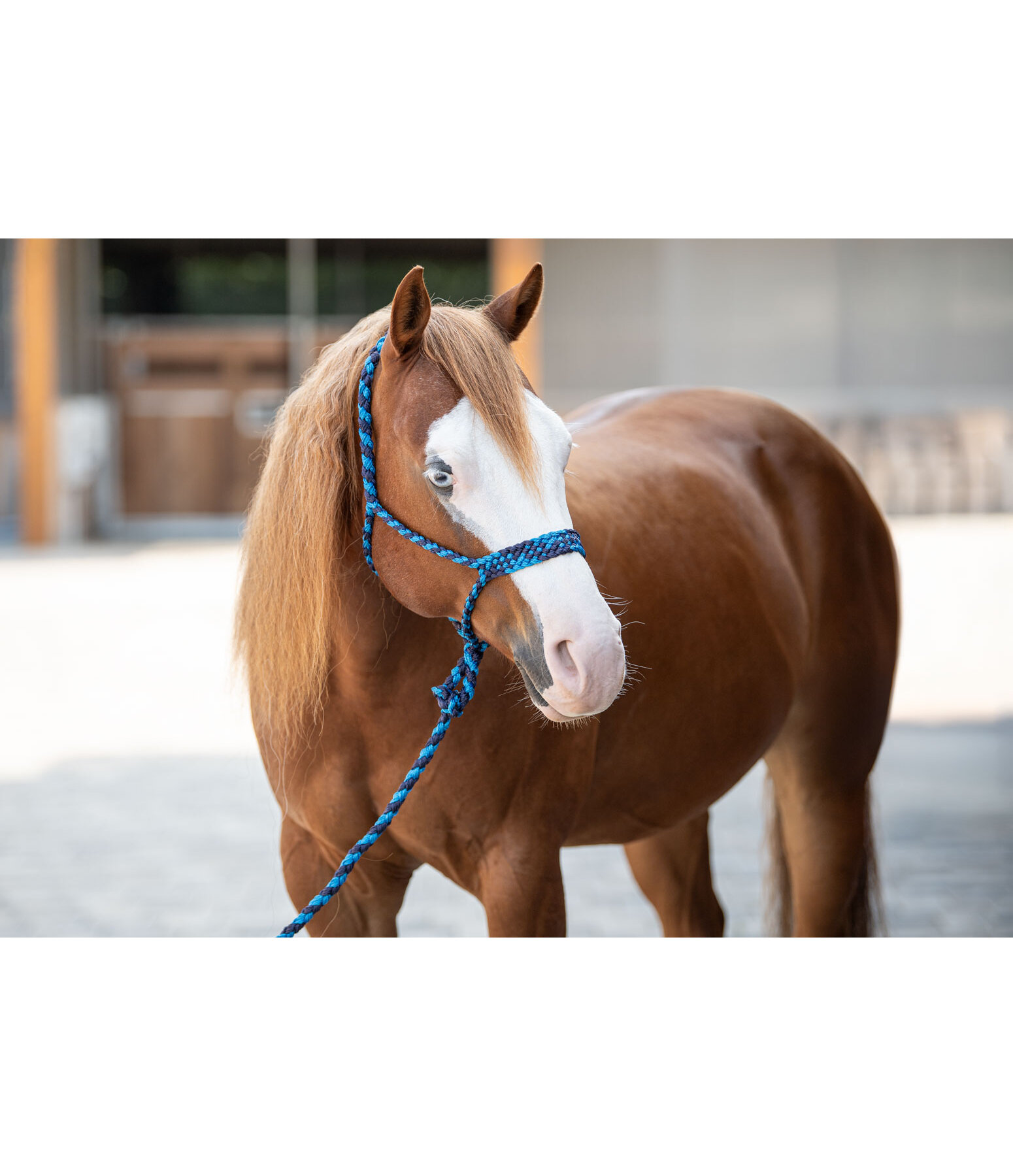 NH Set Soft (rep o grimma) FULL