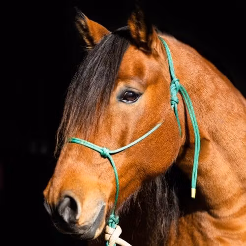 repgrimma QH /COB grön