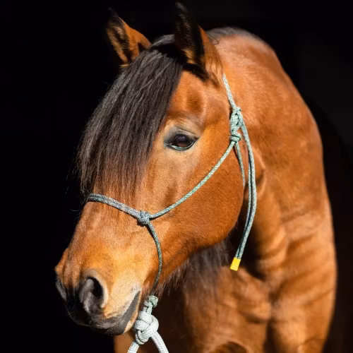 repgrimma FULL grönmelerad