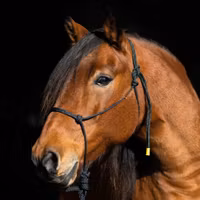 repgrimma FULL svartmelerad