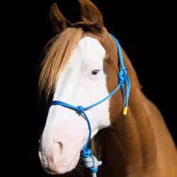 repgrimma X-FULL blå