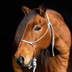 repgrimma X-FULL silver