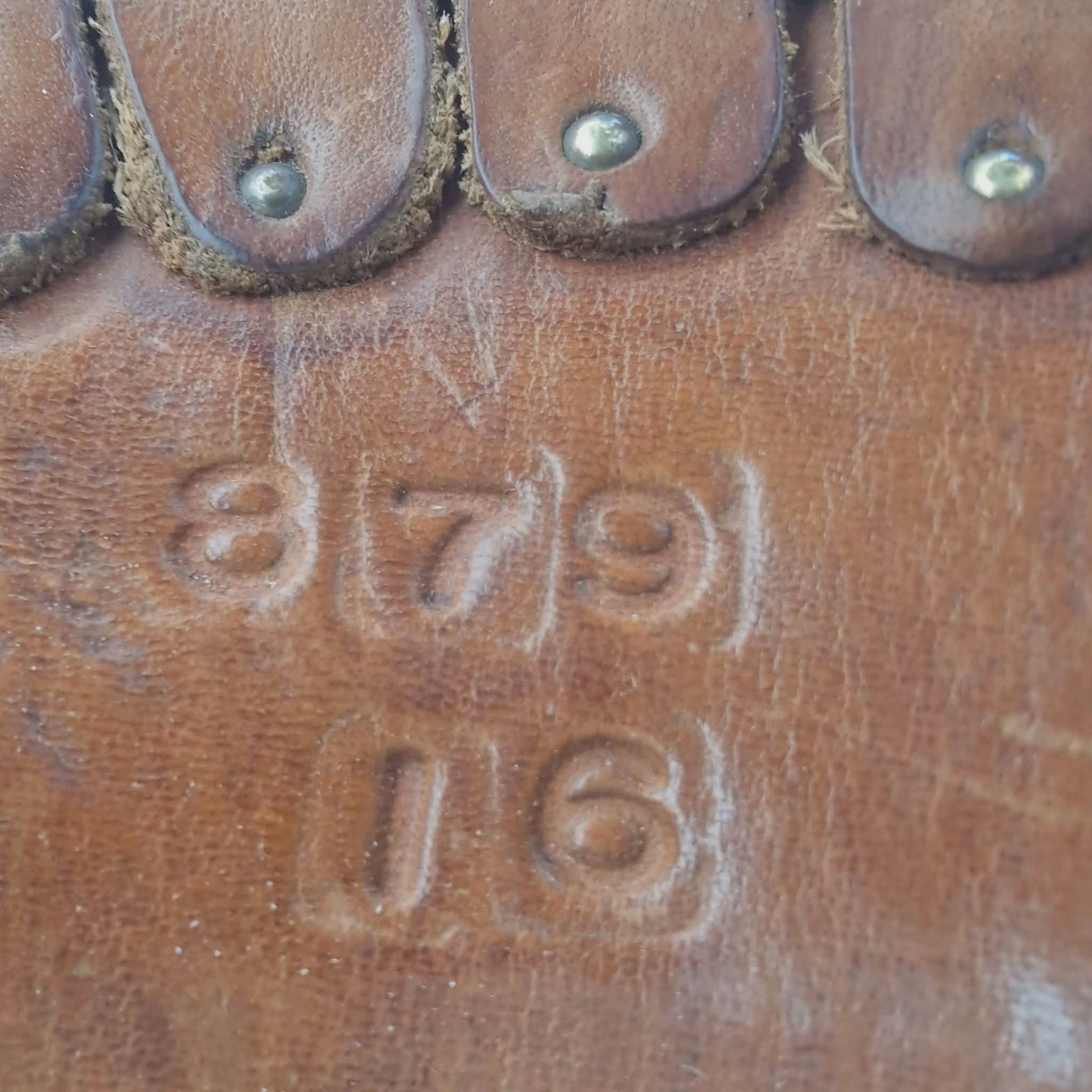 Equiflex little snake 181 westernsadel XFQ 16 tum