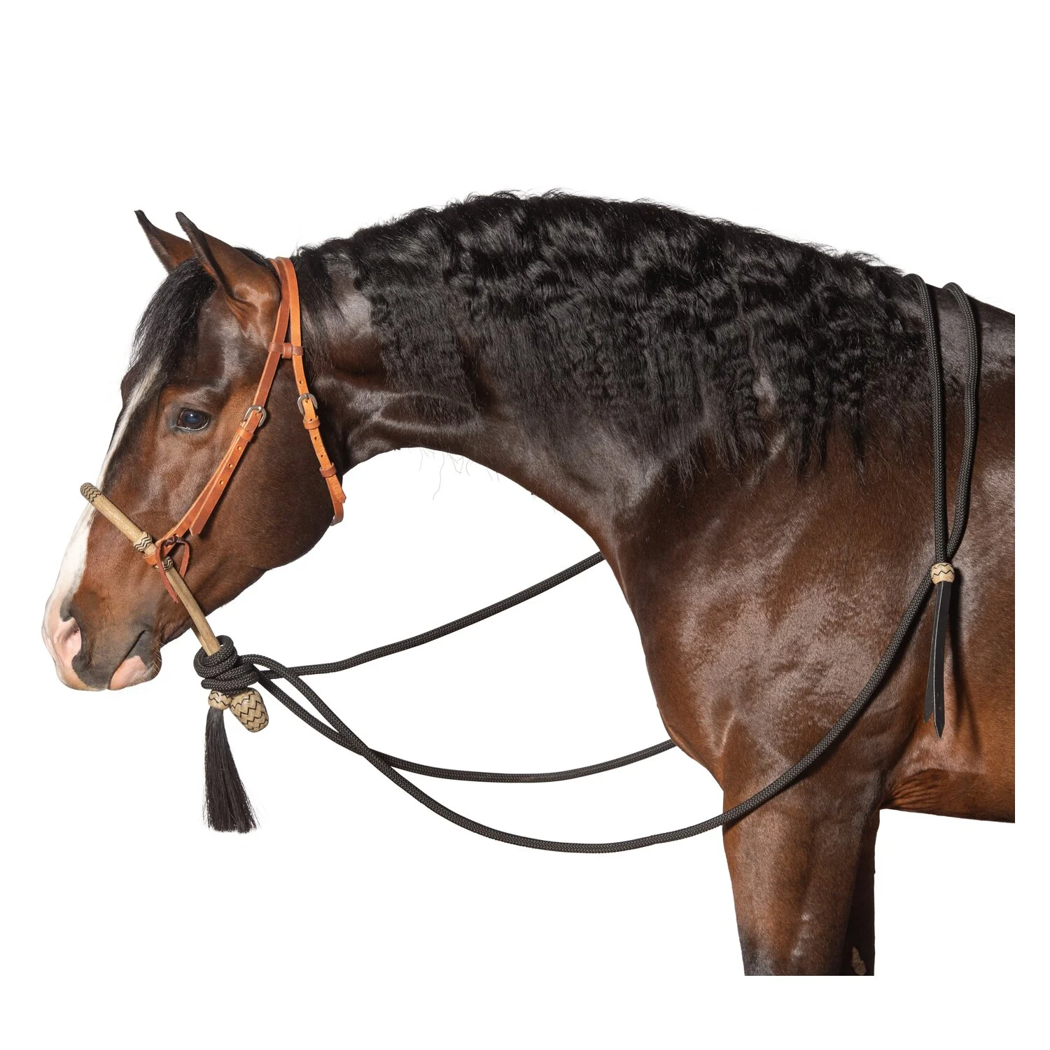 Bosalset 5/8 tum COB / QH