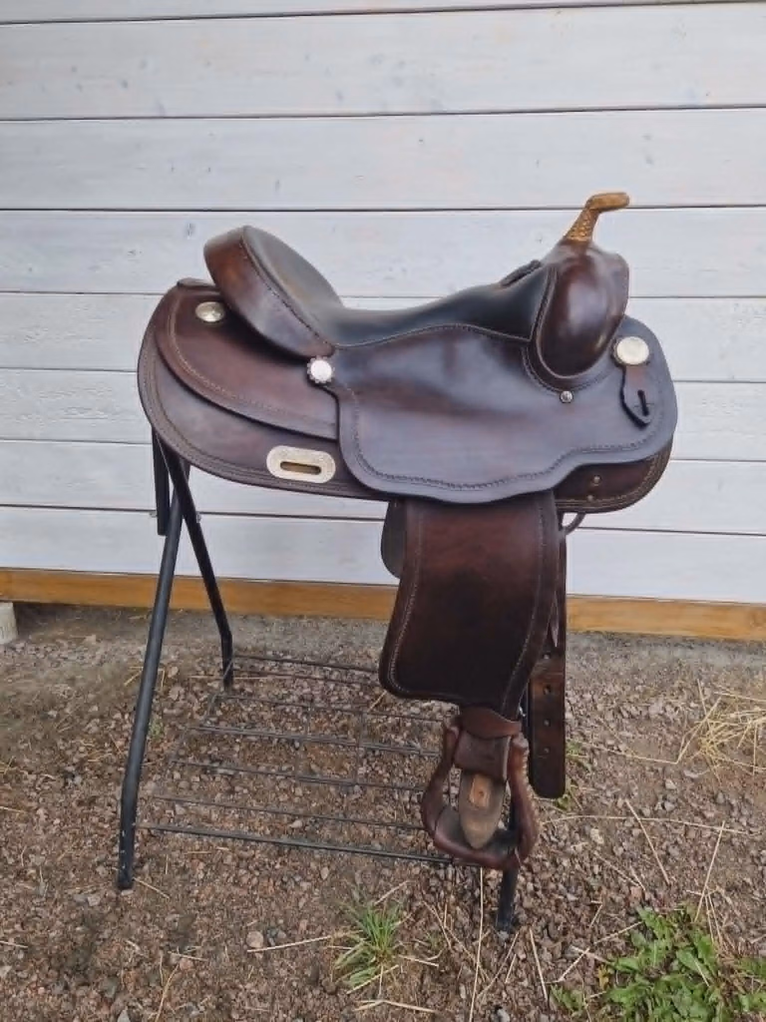Diamond C westernsadel SQ 16 tum