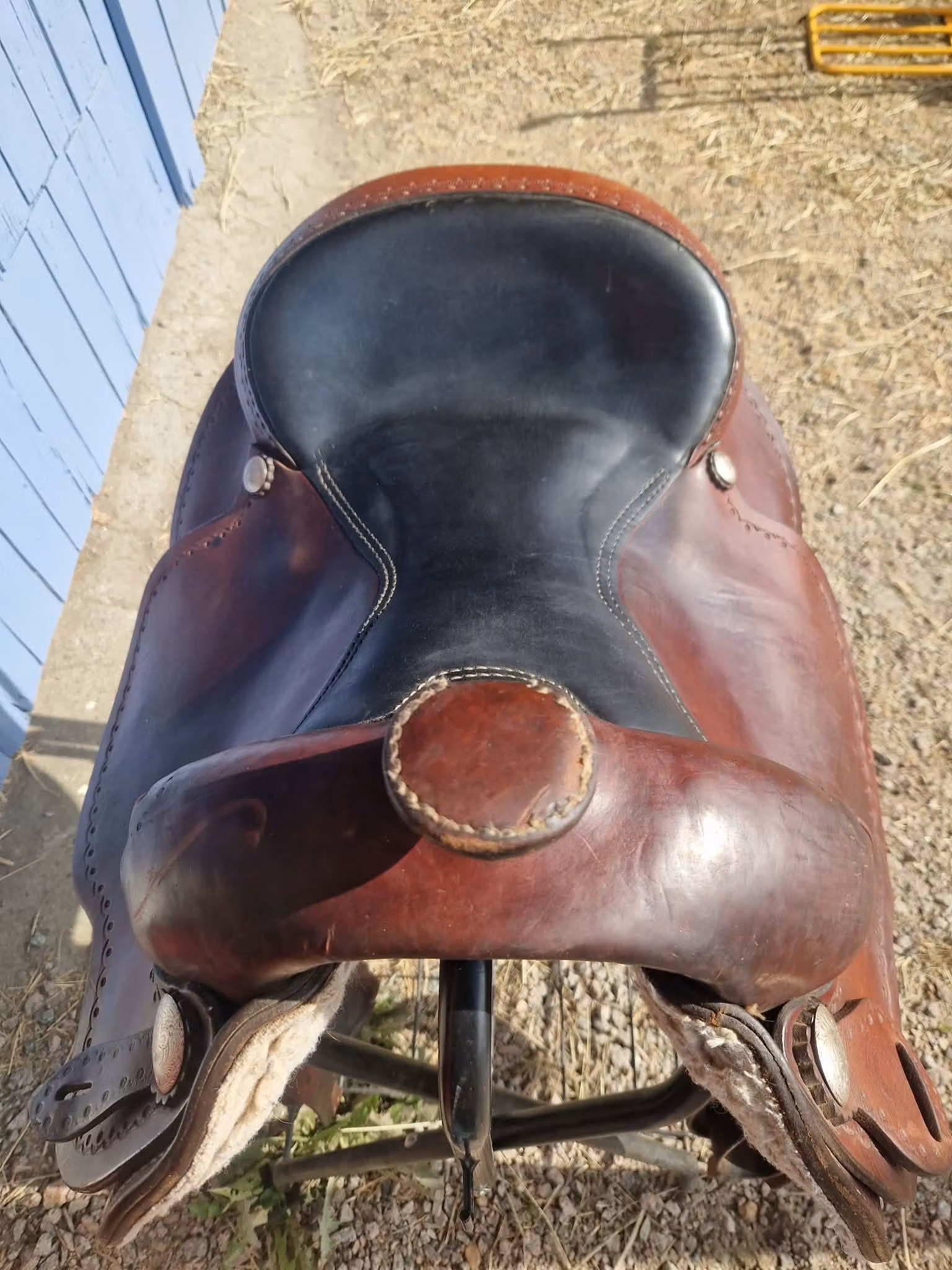 Continental 144 XFQ westernsadel 16 tum