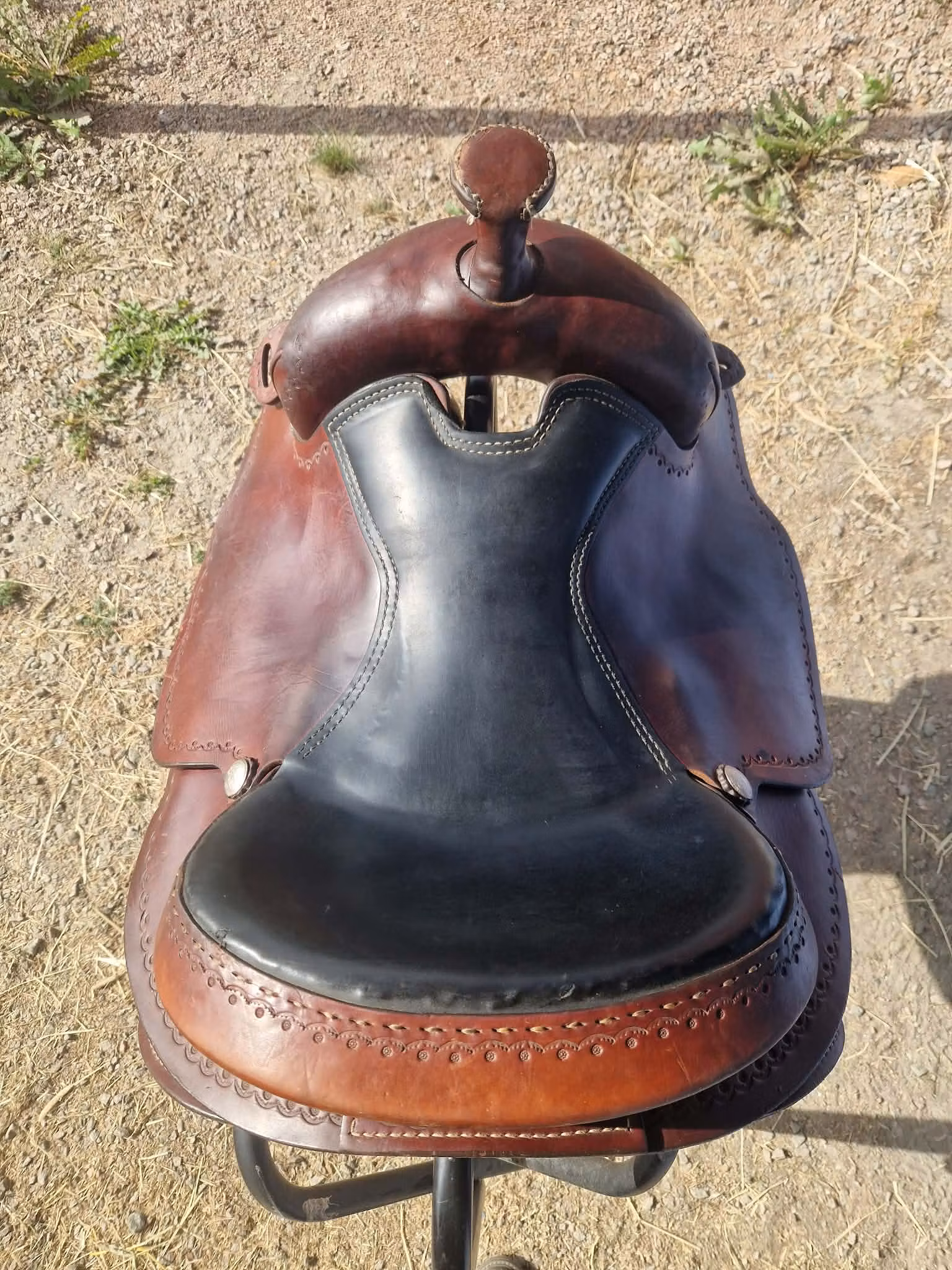 Continental 144 XFQ westernsadel 16 tum