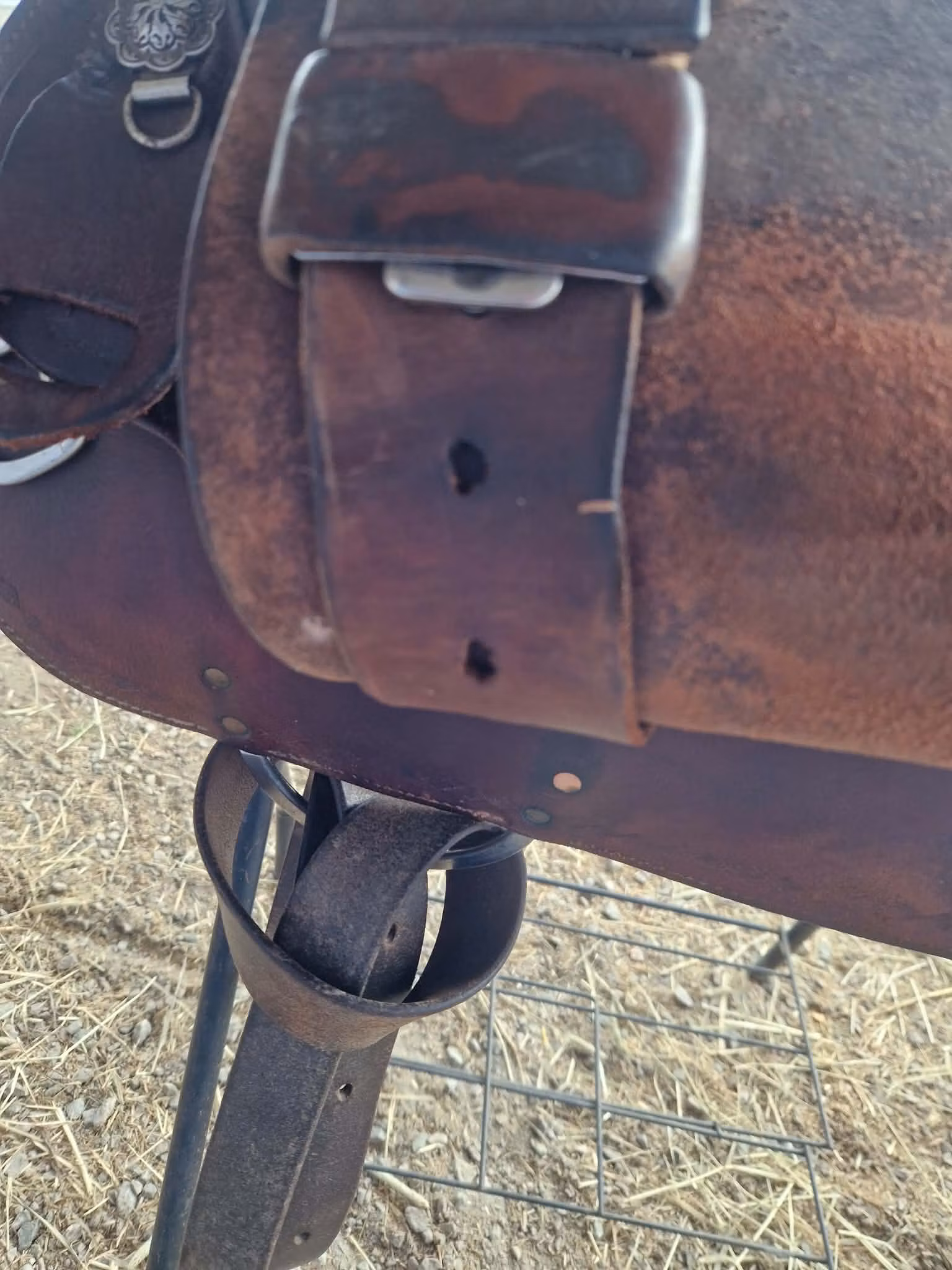 Allround westernsadel XFQ 16 tum