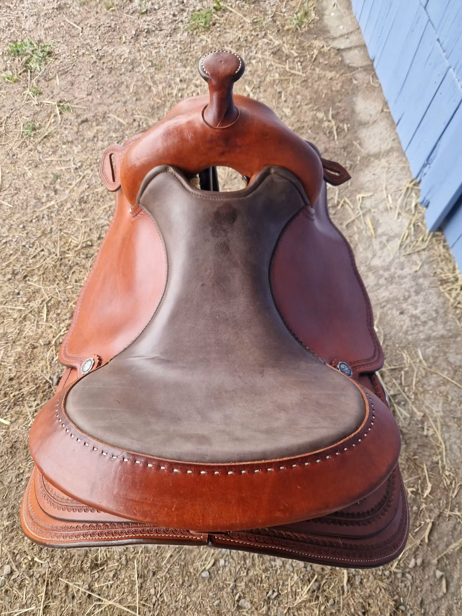 Montana Bryant XFQ 16 tum