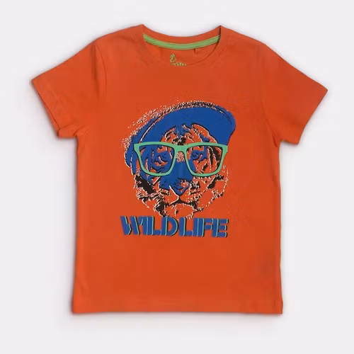 T-shirt - Lupilu - Storlek 110/116
