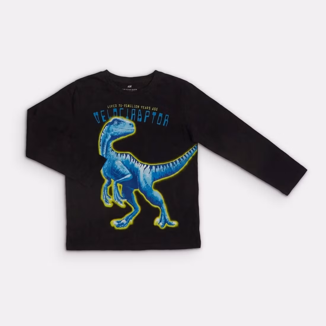 Långärmad t-shirt - H&M - Storlek 110/116