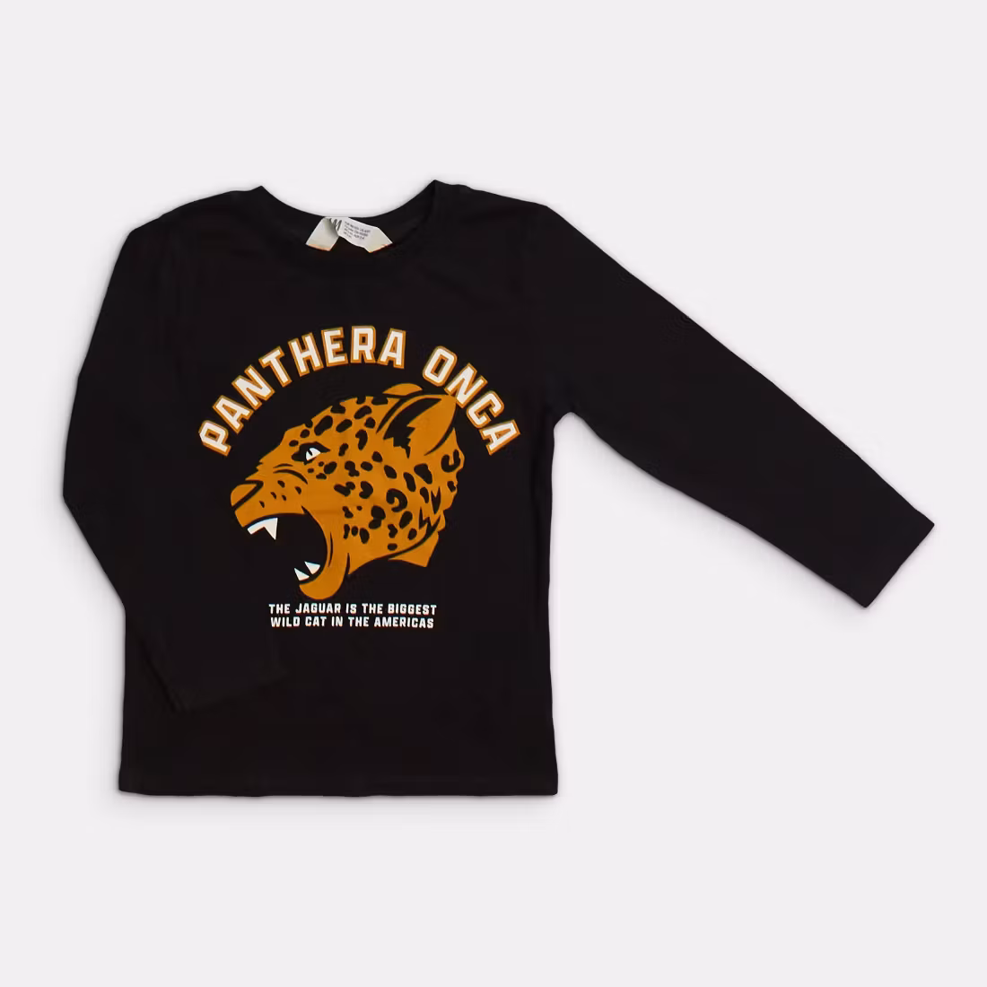 Långärmad t-shirt - H&M - Storlek 98/104