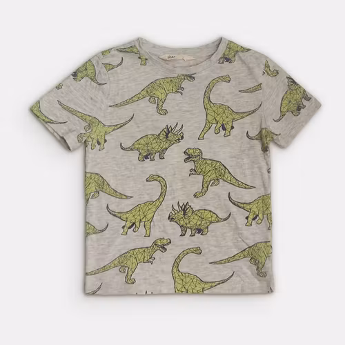 T-shirt - H&M - Storlek 110/116